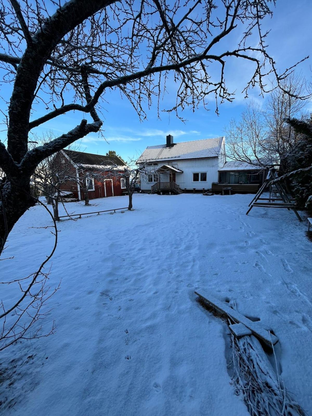 Older Villa With Large Garden Trondheim Kültér fotó